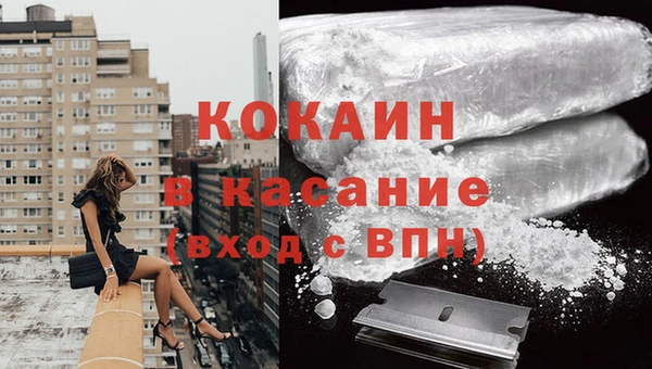 сатива Аркадак