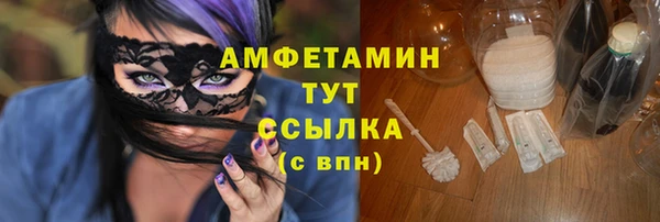 сатива Аркадак