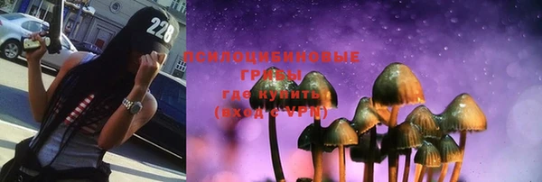 дурь Арсеньев