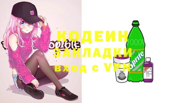дурь Арсеньев