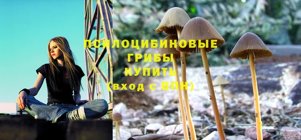 хмурый Армянск