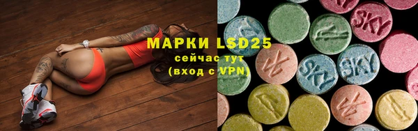 сатива Аркадак