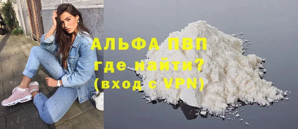 сатива Аркадак