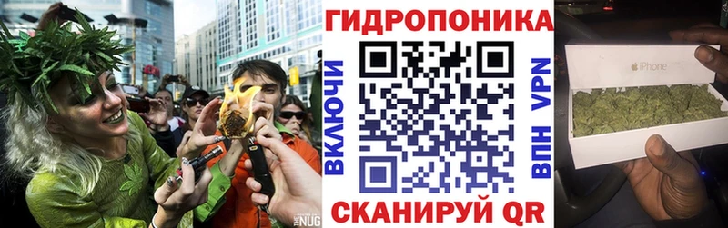 Канабис ГИДРОПОН купить закладку ссылка на мегу как войти Пугачёв